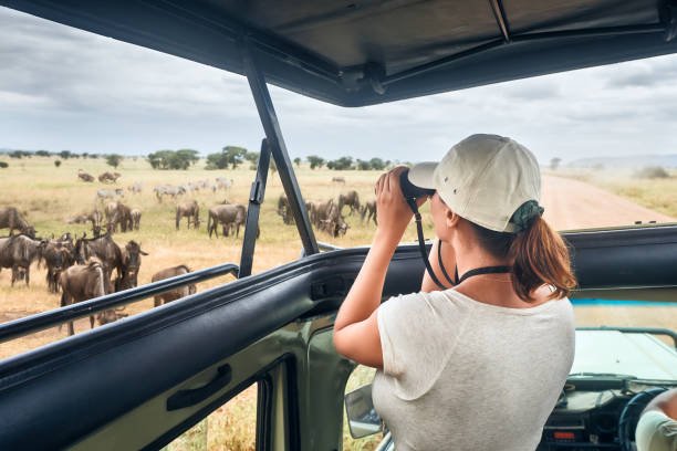 Private Wildlife Safaris